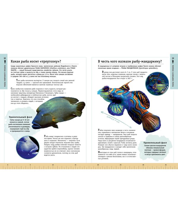 Редкие и удивительные животные нашей планеты. Энциклопедия для детей