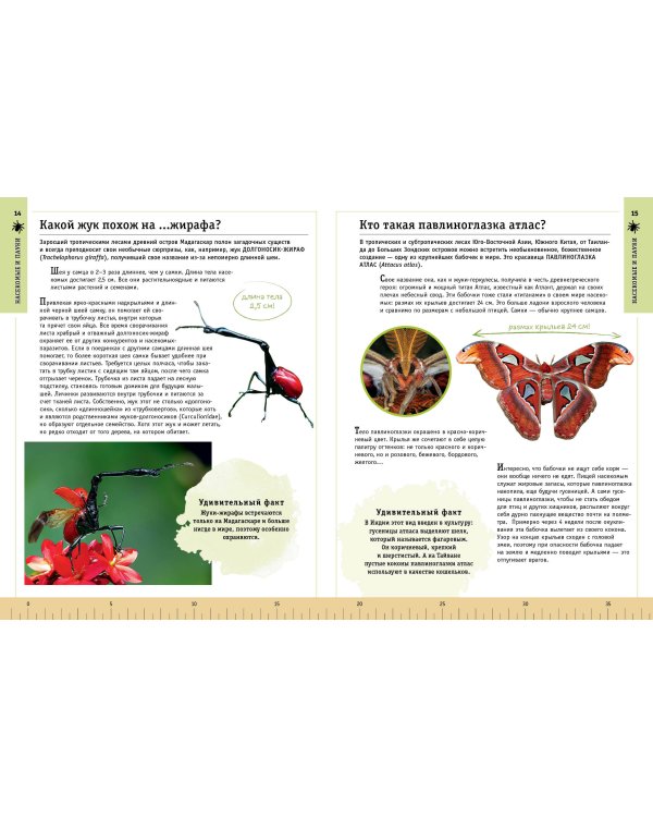 Редкие и удивительные животные нашей планеты. Энциклопедия для детей