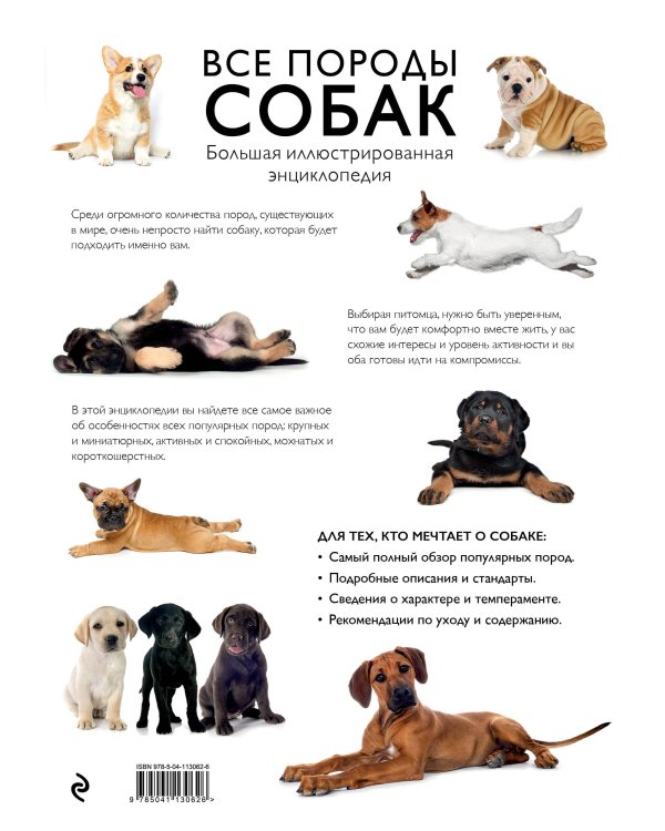 Все породы собак. Большая иллюстрированная энциклопедия
