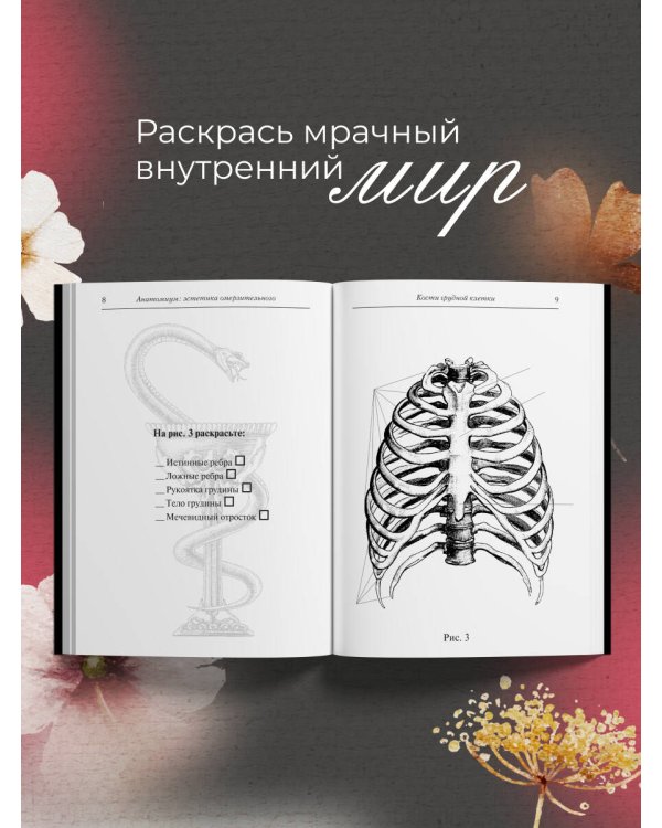 Анатомиум: эстетика омерзительного