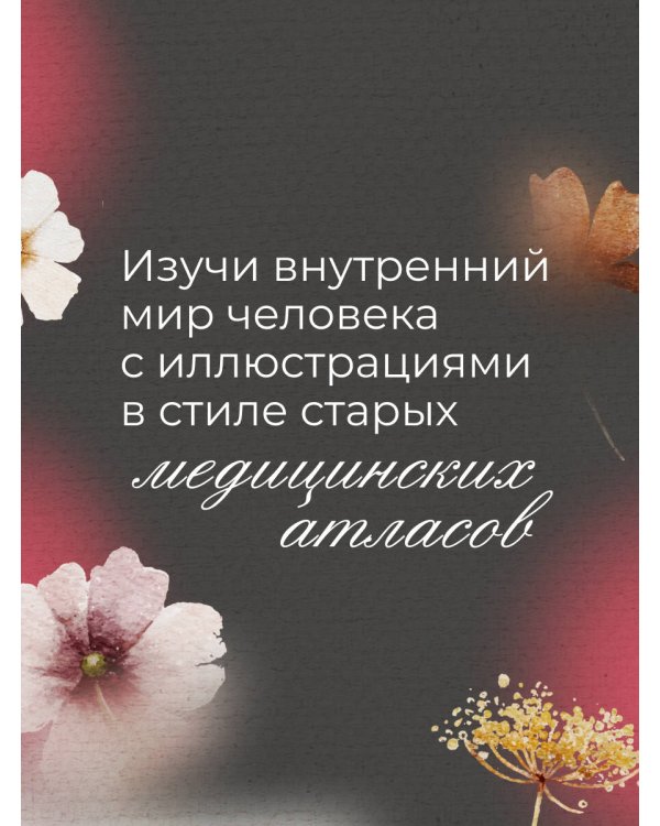 Анатомиум: эстетика омерзительного