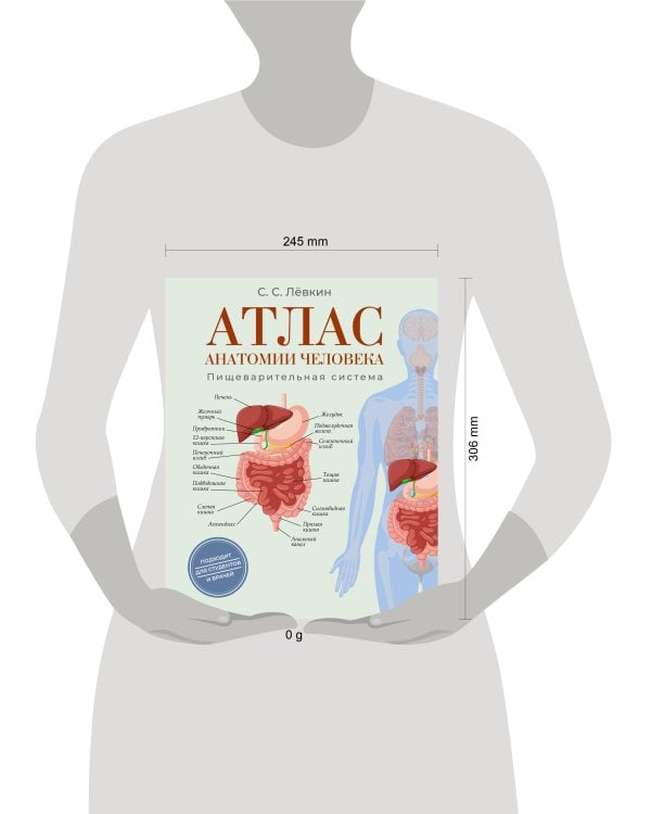 Атлас анатомии человека. Пищеварительная система