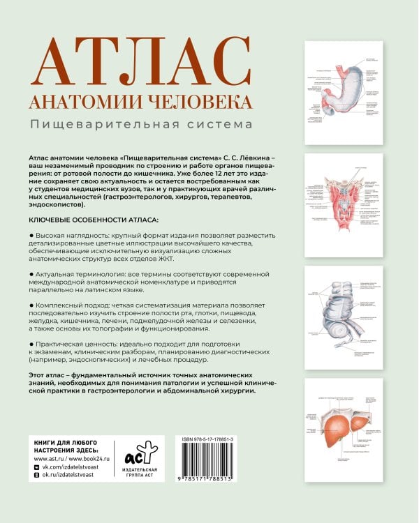 Атлас анатомии человека. Пищеварительная система