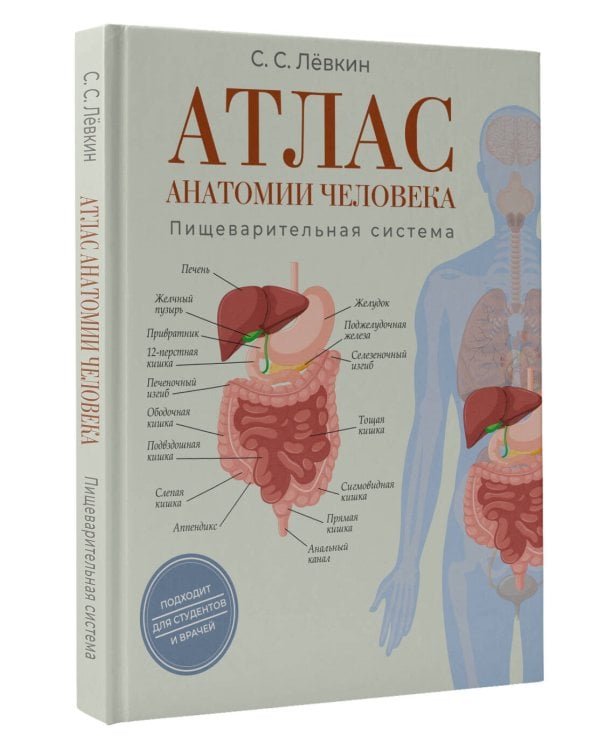 Атлас анатомии человека. Пищеварительная система