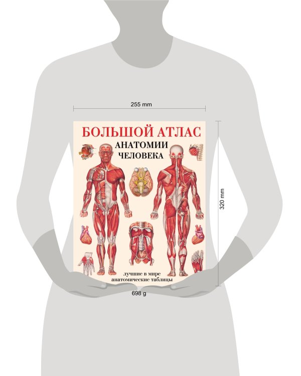 Большой атлас анатомии человека