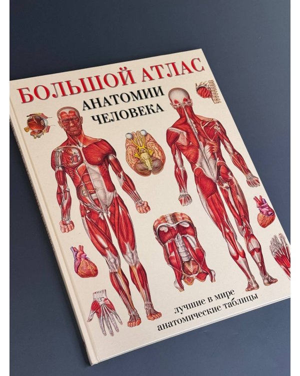 Большой атлас анатомии человека
