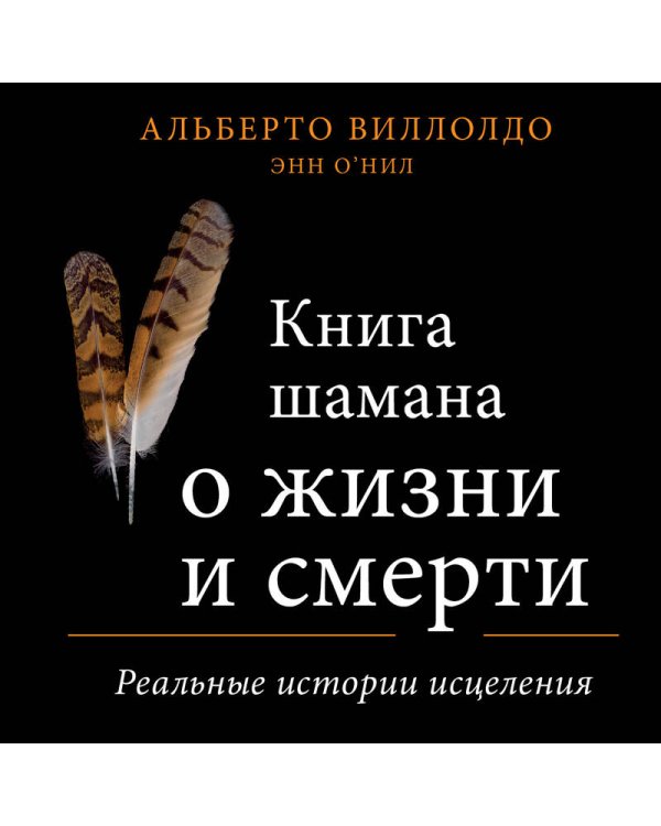 Книга шамана о жизни и смерти. Реальные истории исцеления