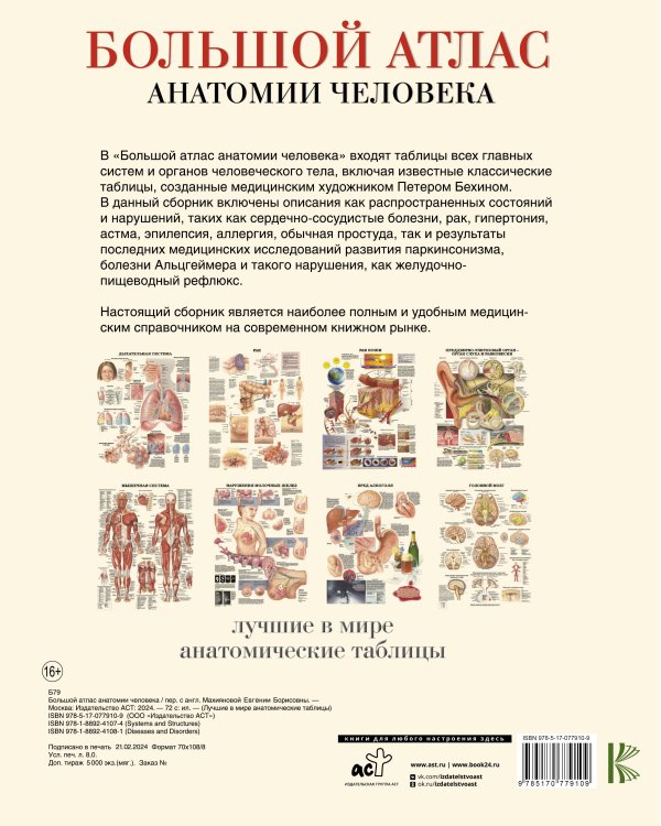 Большой атлас анатомии человека