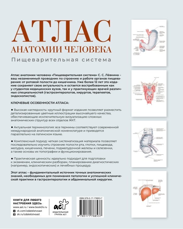 Атлас анатомии человека. Пищеварительная система