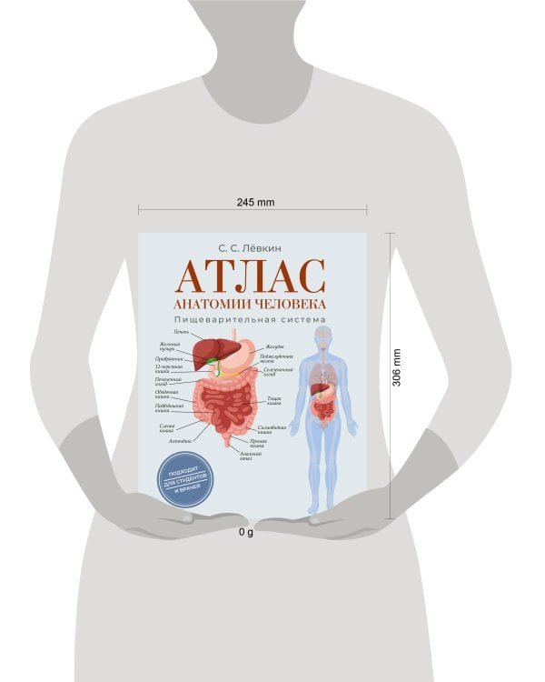 Атлас анатомии человека. Пищеварительная система