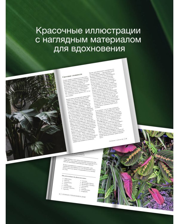 Растущие в темноте. Комнатные растения для укромных уголков вашего дома