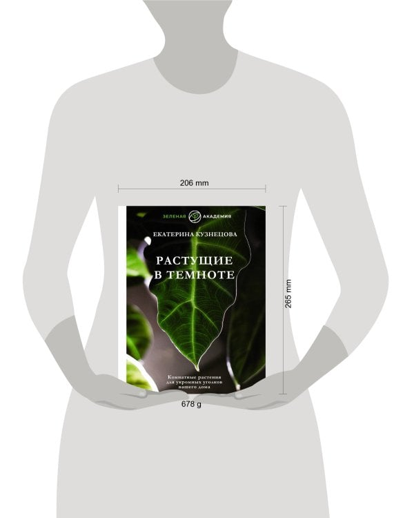 Растущие в темноте. Комнатные растения для укромных уголков вашего дома