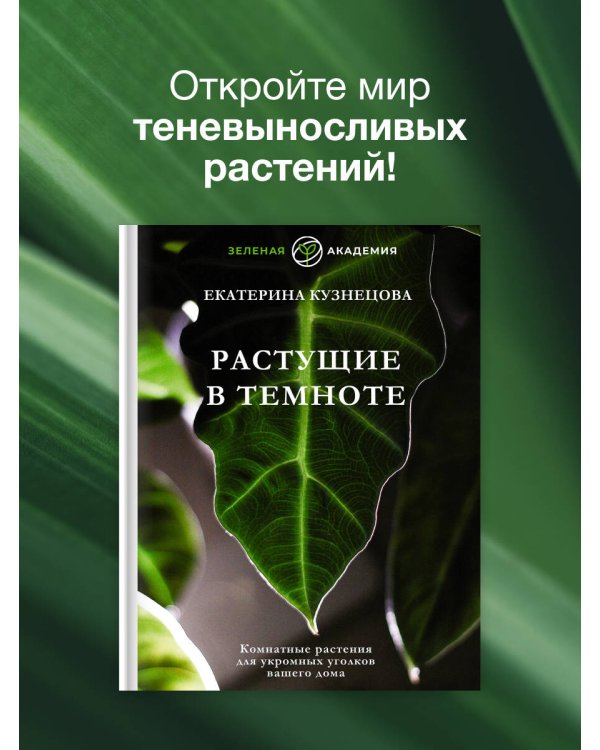 Растущие в темноте. Комнатные растения для укромных уголков вашего дома