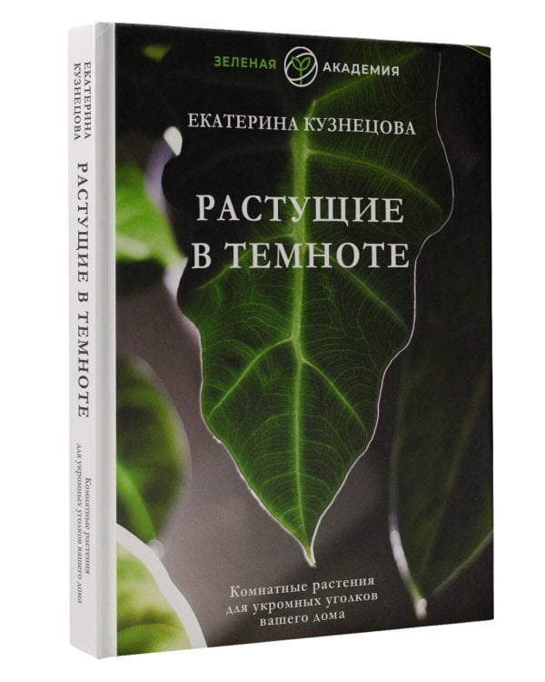 Растущие в темноте. Комнатные растения для укромных уголков вашего дома