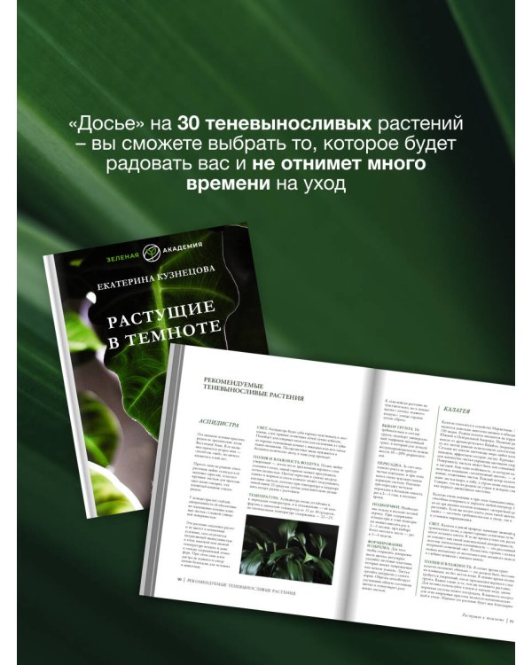 Растущие в темноте. Комнатные растения для укромных уголков вашего дома
