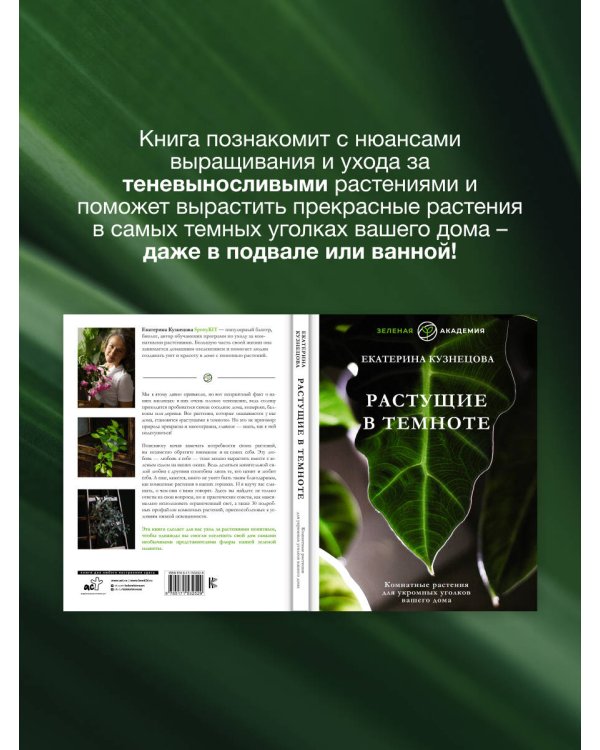 Растущие в темноте. Комнатные растения для укромных уголков вашего дома