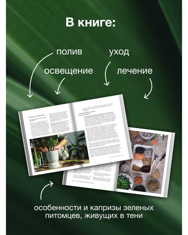 Растущие в темноте. Комнатные растения для укромных уголков вашего дома