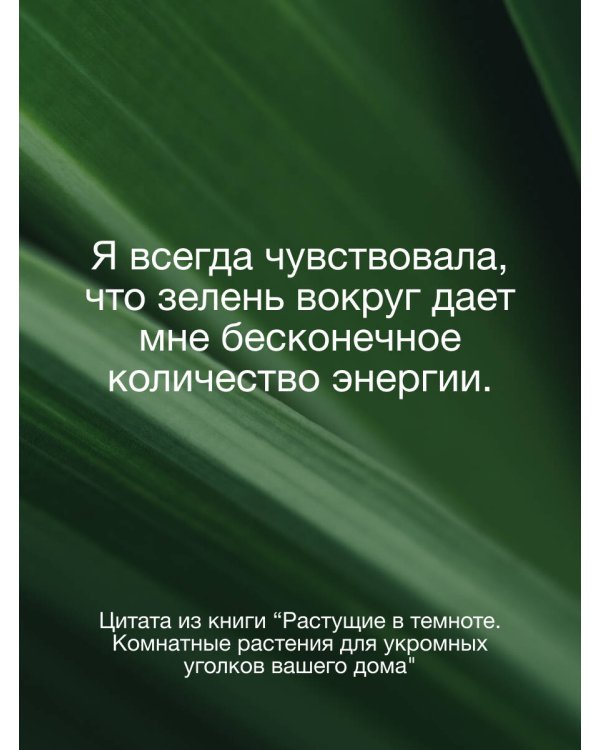 Растущие в темноте. Комнатные растения для укромных уголков вашего дома