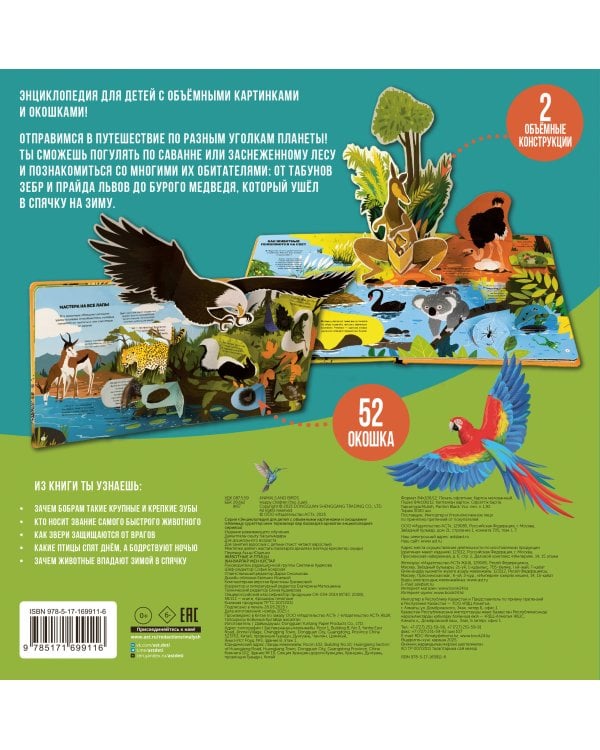 Животные и птицы