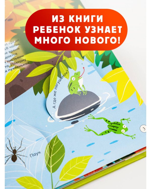 Животные и птицы