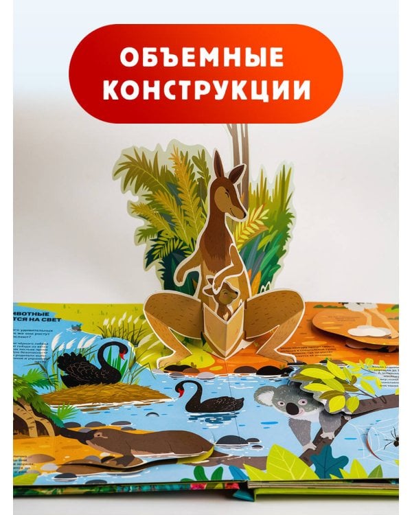 Животные и птицы