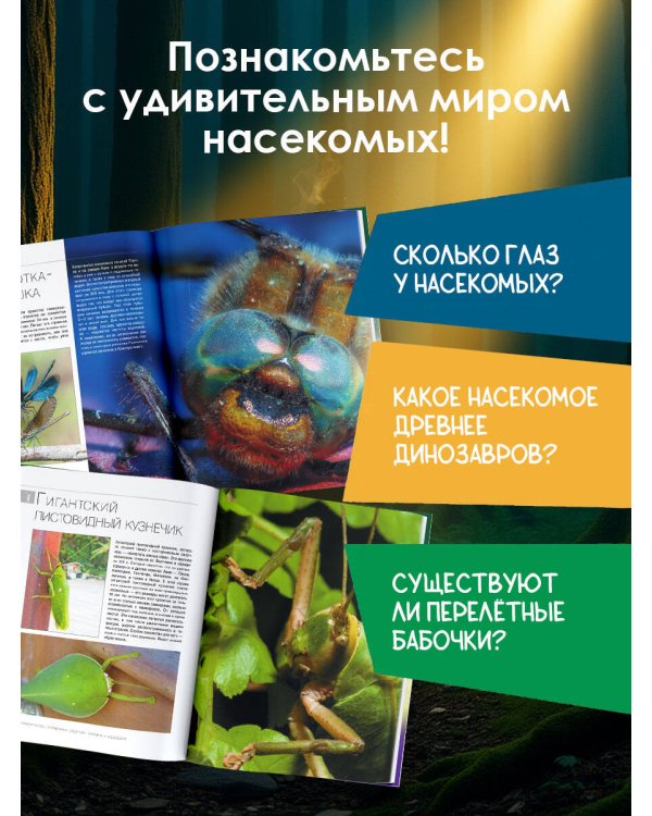 Большая книга о насекомых. 1001 фотография