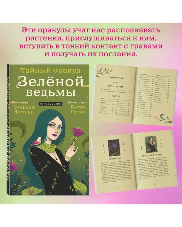 Тайный оракул Зеленой ведьмы (50 карт и руководство в подарочном оформлении)