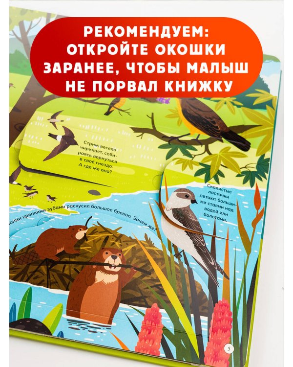 Животные и птицы