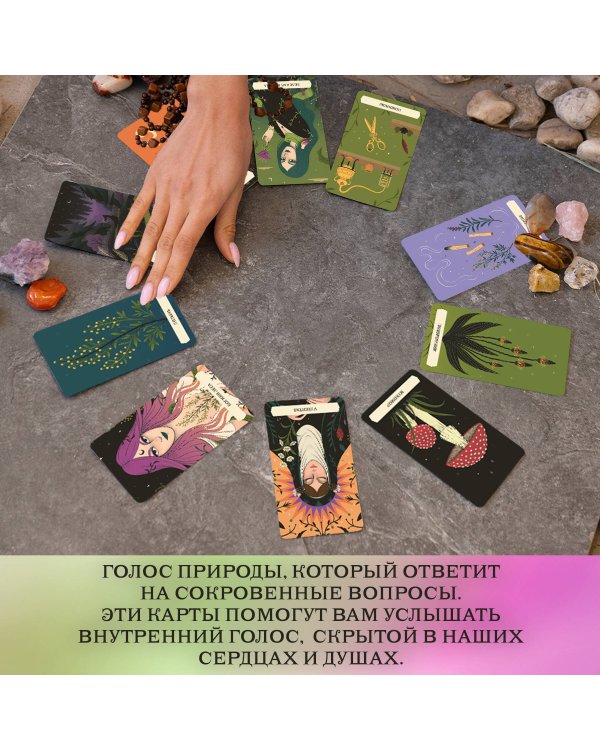 Тайный оракул Зеленой ведьмы (50 карт и руководство в подарочном оформлении)