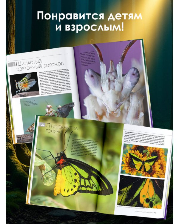 Большая книга о насекомых. 1001 фотография