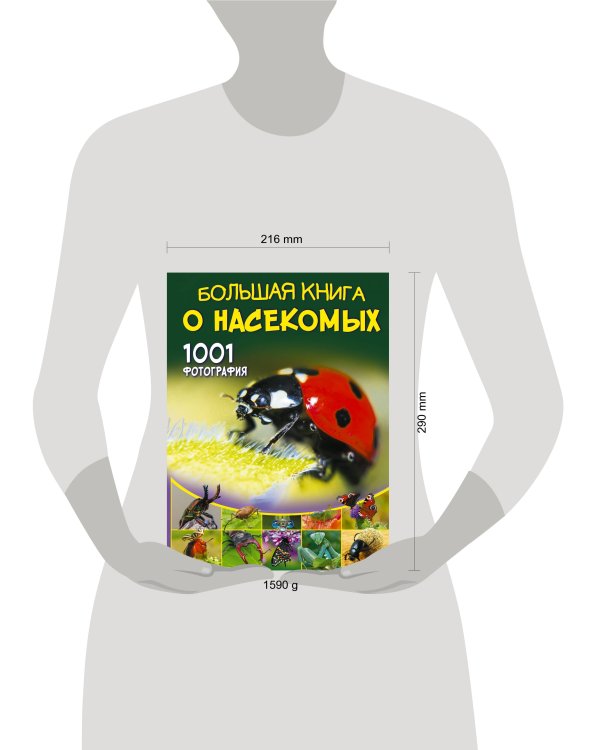 Большая книга о насекомых. 1001 фотография