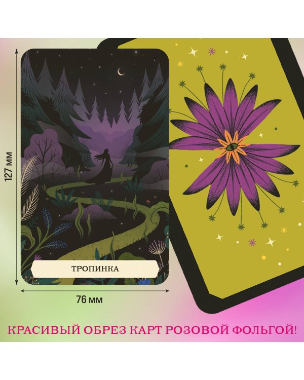 Тайный оракул Зеленой ведьмы (50 карт и руководство в подарочном оформлении)