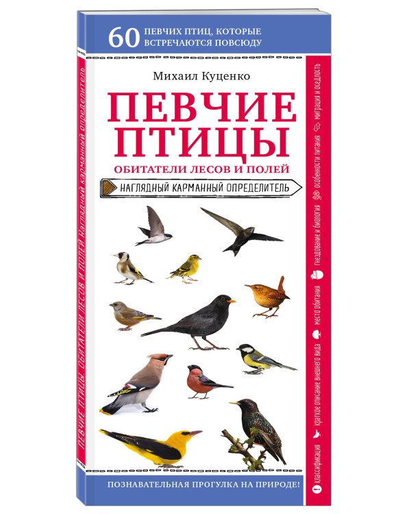 Певчие птицы. Обитатели лесов и полей