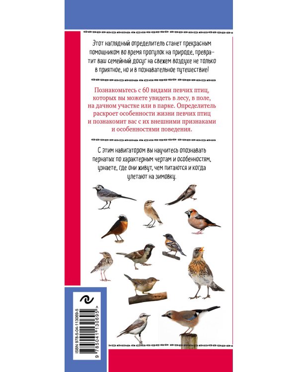 Певчие птицы. Обитатели лесов и полей