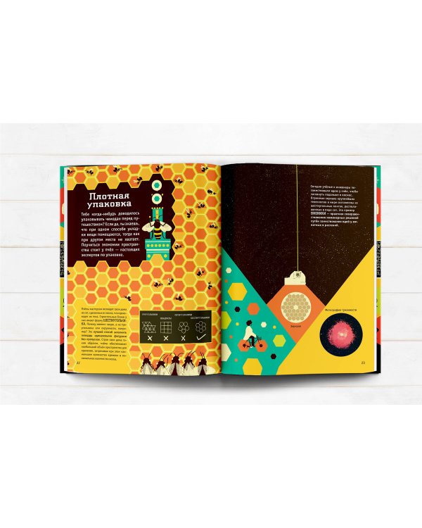 Математика: язык Вселенной