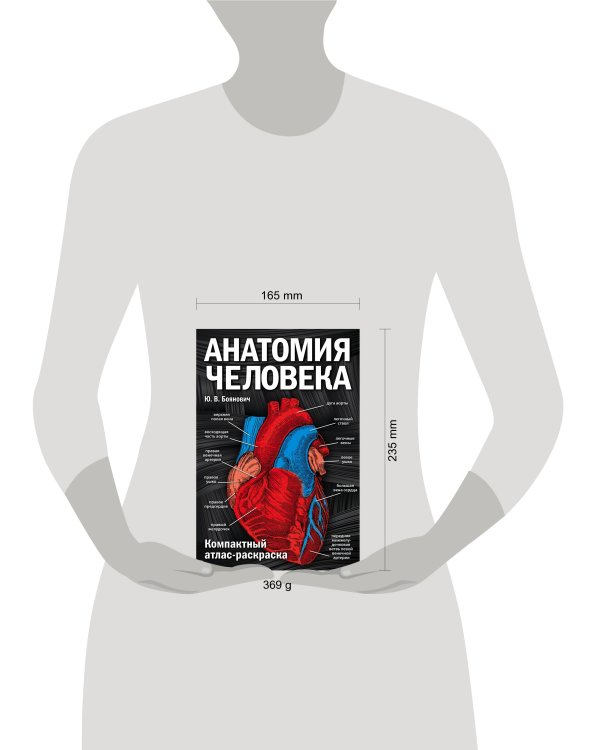 Анатомия человека: компактный атлас-раскраска