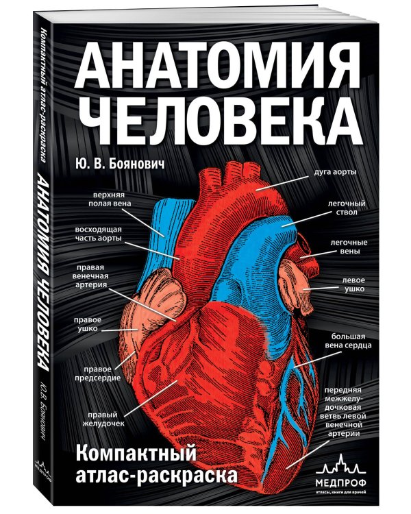 Анатомия человека: компактный атлас-раскраска