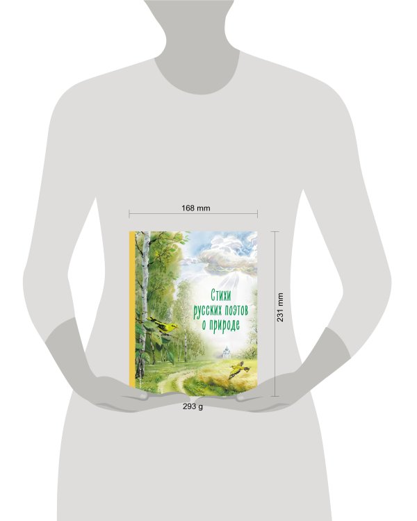 Стихи русских поэтов о природе (ил. В. Канивца)