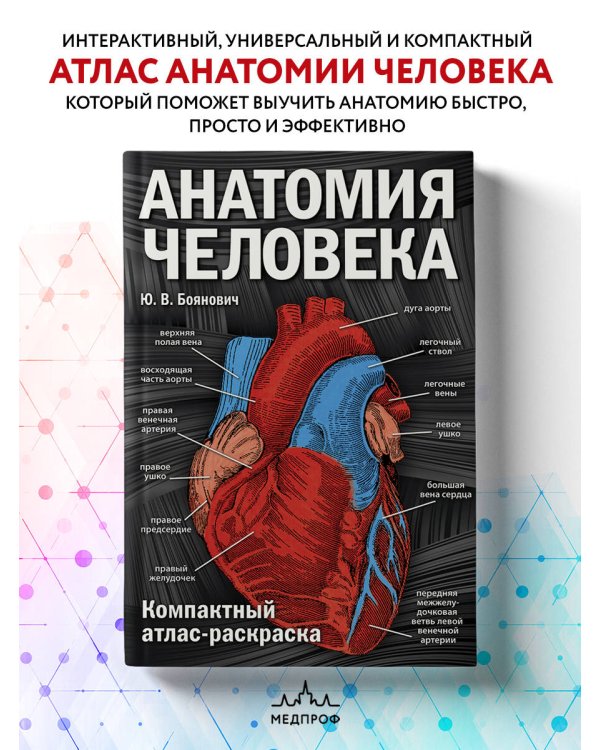 Анатомия человека: компактный атлас-раскраска
