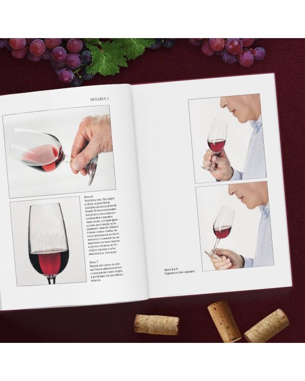 Настольная книга дегустатора. Все, что необходимо знать как профессионалу, так и любителю вина и бренди. Издание 3-е, дополненное