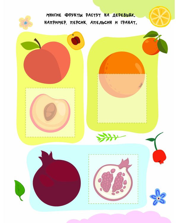 Фрукты и овощи