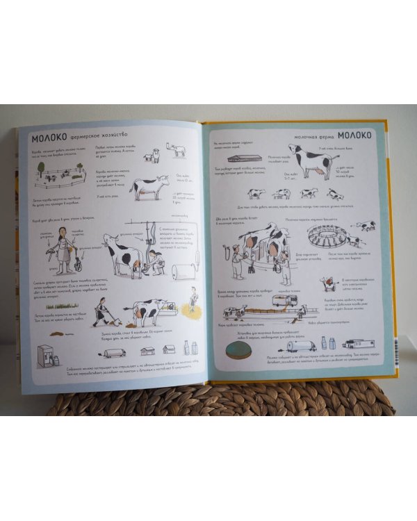 Откуда берется еда?