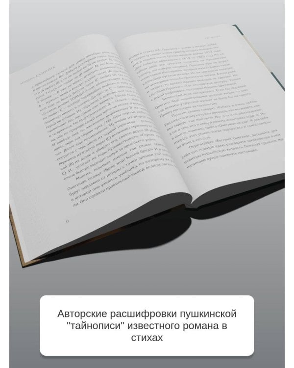 Ев - гений О! Не - гин: роман-иллюзия