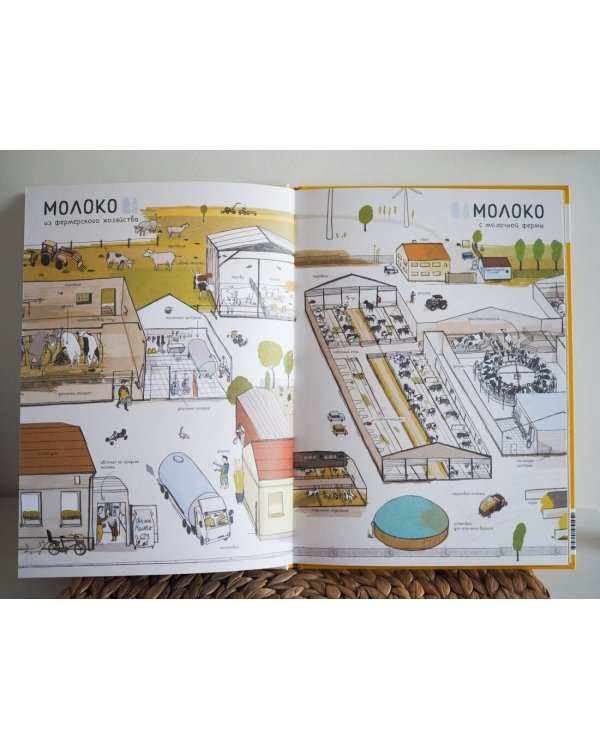 Откуда берется еда?