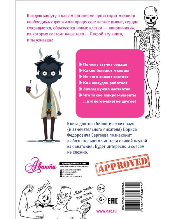 Как устроен человек