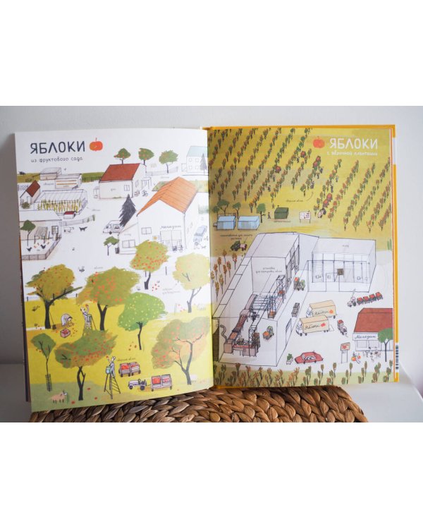 Откуда берется еда?