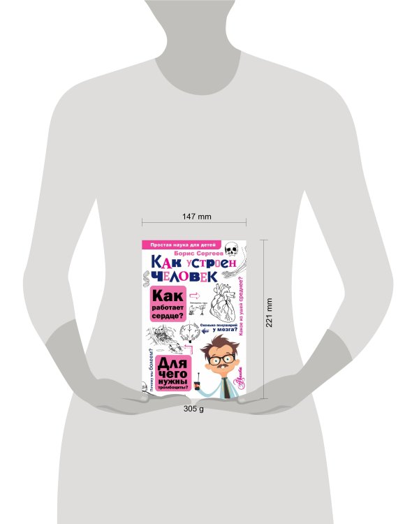 Как устроен человек