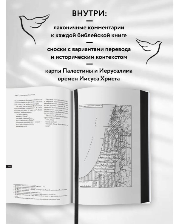 Библия в современном русском переводе