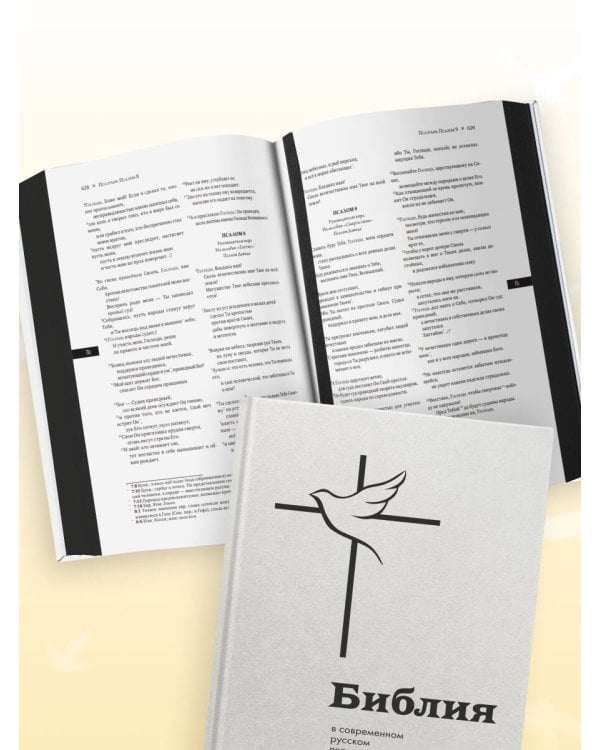 Библия в современном русском переводе