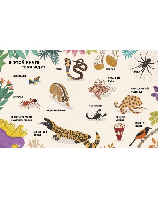 Ядовитые животные. Кто, зачем и как использует яды в дикой природе